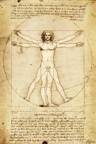 Framed Art Vitruvian Man by Leonardo da Vinci | 36 x 24