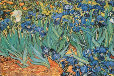 Garden of Irises by Vincent van Gogh | 24 x 36 Fine Art Print