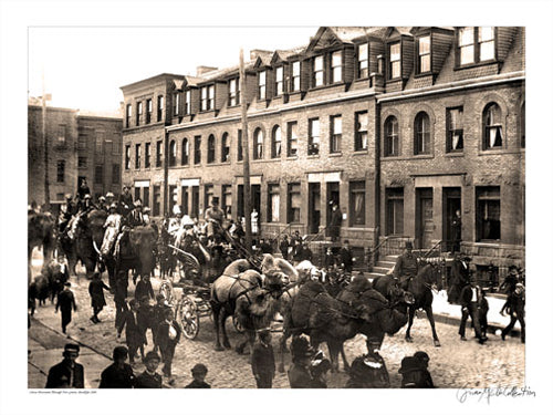 Fort Greene Circus, Brooklyn, New York, 1880 by Merlis Collection