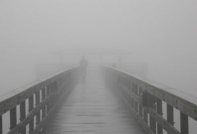 Into the Fog II by Gary Bydlo | 8 x 10 Fine Art Print