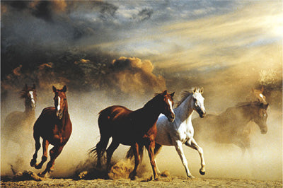 Stampede Wall Art | 24 x 36 Fine Art Print