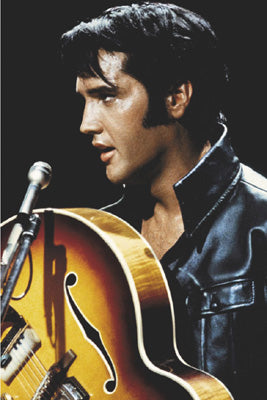Elvis: King of Rock & Roll Wall Art | 36 x 24 Fine Art Print