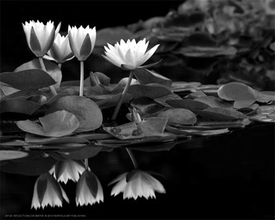 Reflections on Water by Dennis Frates | 8 x 10 Fine Art Print