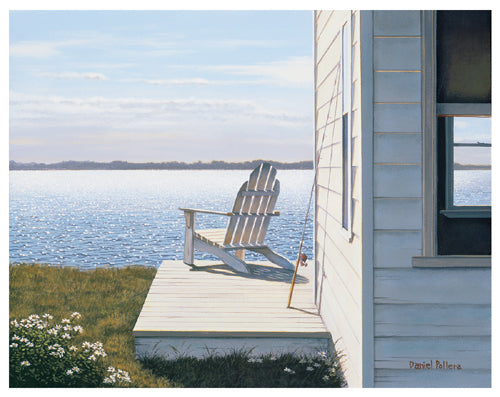 Montauk Daisies by Daniel Pollera | 11 1/2 x 14 1/2 Fine Art Print