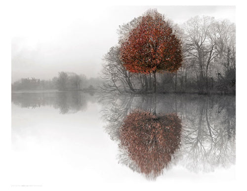 Mirror Lake by Ellen Fisch | 17 x 22 Fine Art Print
