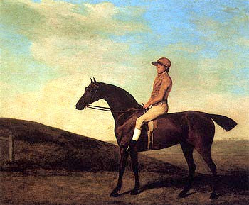 Rosaletta by George Stubbs | 24 x 27 Fine Art Print