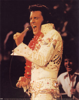 Framed Art Elvis Presley: Hawaii II 10 x 8