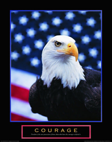Courage: Eagle & Flag Wall Art | 28 x 22 Fine Art Print