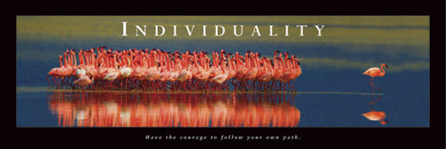 Individuality - Flamingos Wall Art | 12 x 36 Fine Art Print