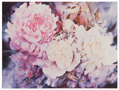 Peonies by David Maddern | 11 x 14 Fine Art Print