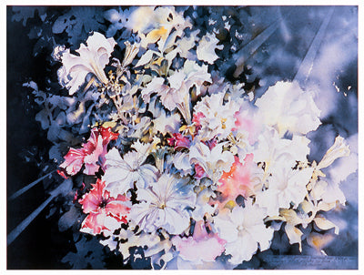 Morning Glories by David Maddern | 11 x 14 Fine Art Print