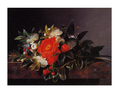 Camellia's Hypericum by Johan Laurentz Jensen | 12 x 16 Fine Art Print
