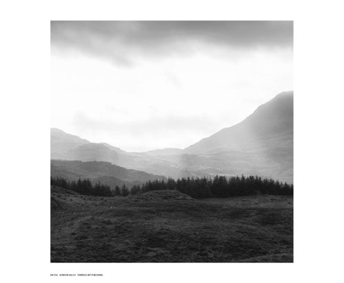 Horizon Hills II Wall Art | 14 x 17 Fine Art Print