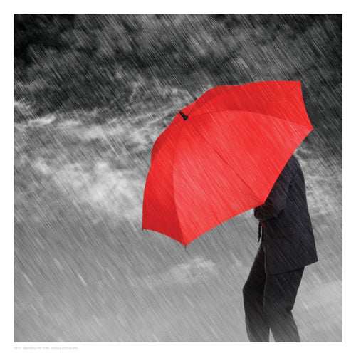 Weathering the Storm Wall Art | 13 x 13 Fine Art Print