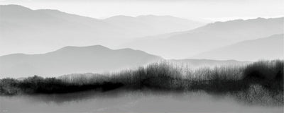 Zen Landscape I Wall Art | 8 x 20 Fine Art Print