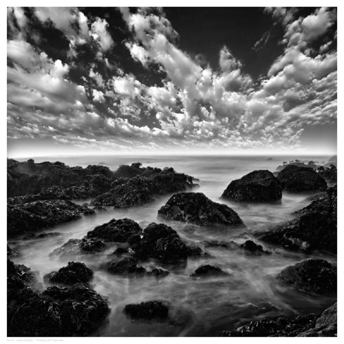 Ocean Seatide I Wall Art | 12 1/2 x 12 1/2 Fine Art Print