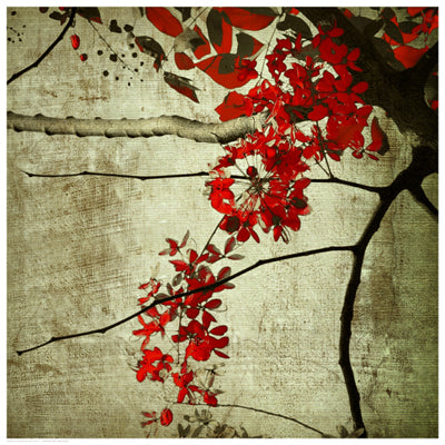 Red Kerala Blossoms Wall Art | 16 1/2 x 16 1/2 Fine Art Print