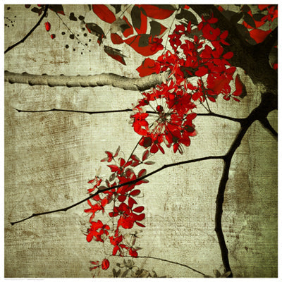 Framed Art Red Kerala Blossoms 16 1/2 x 16 1/2