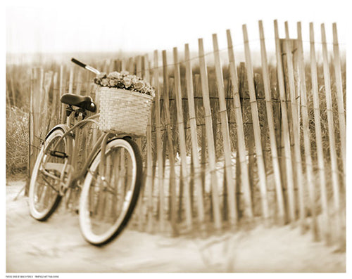 Bike by Beach Fence Wall Art | 11 1/2 x 14 1/2 Fine Art Print