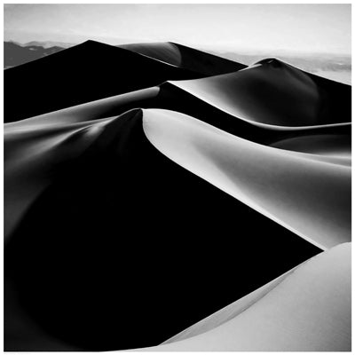 Sand Dunes Wall Art | 24 1/2 x 24 1/2 Fine Art Print