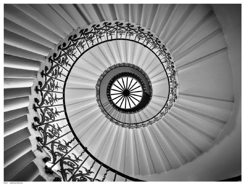 Framed Art Tulip Staircase by Nick Jackson | 12 ½ x 16 ½