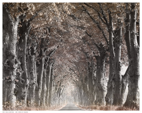 Framed Art Down a Country Road by Keller | 11 ½ x 14 ½