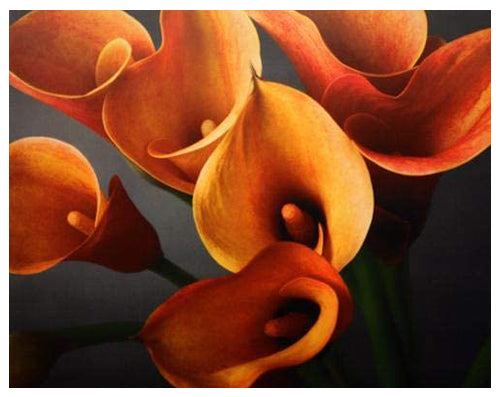 Framed Art Calla Lily Bouquet 11 ½ x 14 ½