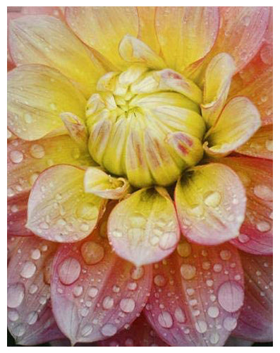 Peaches & Dreams by Dennis Frates | 14 ½ x 11 ½ Fine Art Print