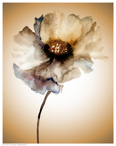 Framed Art Blossom in Sienna by Regina | 14 1/2 x 11 1/2