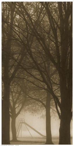 Framed Art Trees in the Mist 24 1/2 x 12 1/2