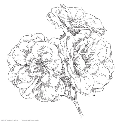 Framed Art Rose Bud Sketch 6 1/4 x 6 1/4