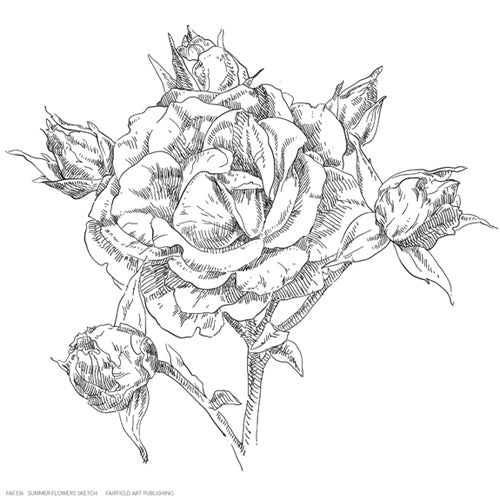 Framed Art Summer Flowers Sketch 6 1/4 x 6 1/4