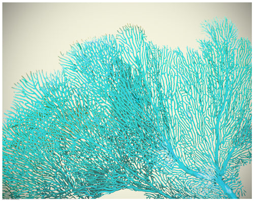 Teal Coral Wall Art | 22 1/2 x 28 1/2 Fine Art Print