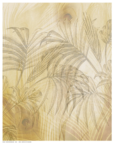 Feather Background Wall Art | 14 ½ x 11 ½ Fine Art Print