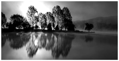 Dawn Wall Art | 12 1/2 x 24 1/2 Fine Art Print