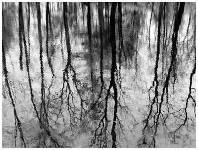 Reflected Pool Wall Art | 18 1/2 x 24 1/2 Fine Art Print