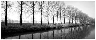 Trees Along the Canal Wall Art | 8 x 20 Fine Art Print