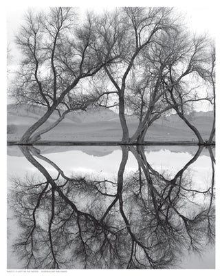 Clarity in the Waters Wall Art | 10 1/2 x 8 1/2 Fine Art Print