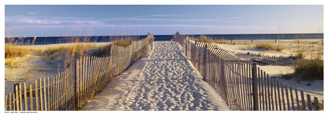 Framed Art Sand Trail 7 x 19