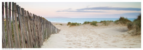 Framed Art Sand Fence, Early Morning 7 x 19
