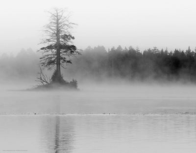 Sunrise Reflections I Wall Art | 14 x 18 Fine Art Print