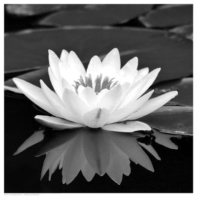 Crystal Reflection II Wall Art | 12 1/2 x 12 1/2 Fine Art Print