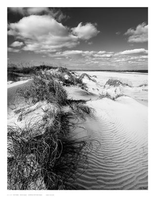 Dune Swale by Eve Turek | 14 x 11 Fine Art Print