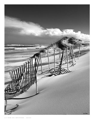 Fences by Eve Turek | 11 x 14 Fine Art Print