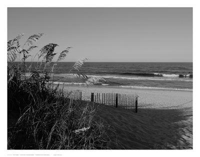 Carolina Contentment by Eve Turek | 11 x 14 Fine Art Print