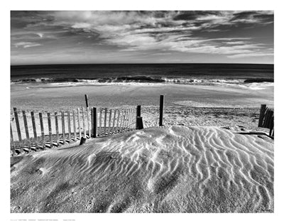 Pathway by Eve Turek | 11 x 14 Fine Art Print