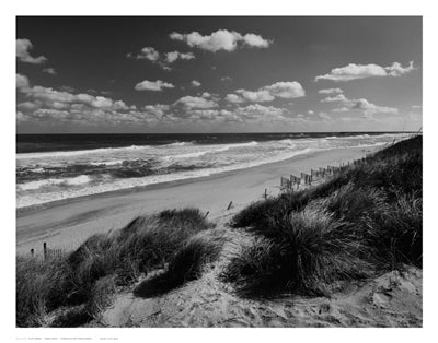 Long View by Eve Turek | 11 x 14 Fine Art Print