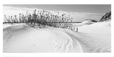 Serebe Shorline by Eve Turek | 10 x 20 Fine Art Print