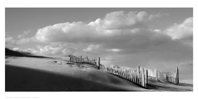 Sand Fences by Eve Turek | 10 x 20 Fine Art Print