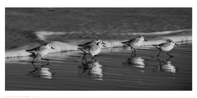 Five Friends by Eve Turek | 10 x 20 Fine Art Print